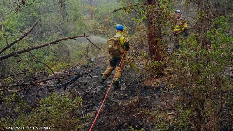 للسنة الثانية على التوالي.. النيران تلتهم الغابات في لبنان