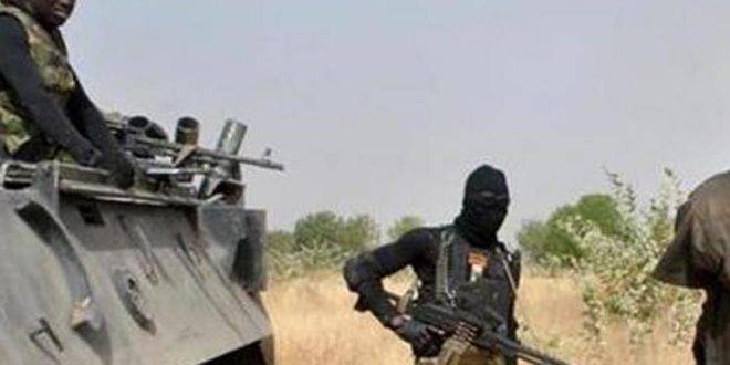 قوة عسكرية إفريقية تقضي على 800 إرهابي في جزر بحيرة تشاد