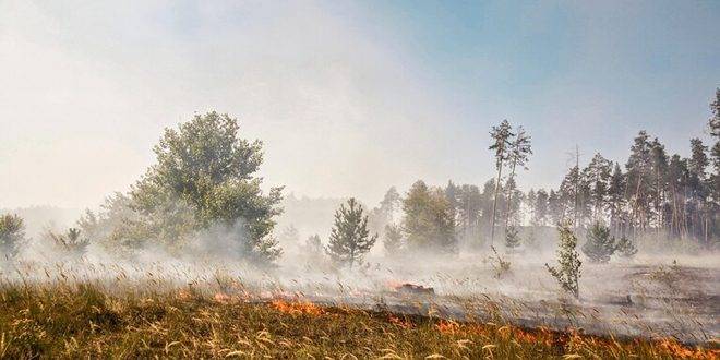 لوغانسك: الأوكرانيبن يستخدمون سياسة الأرض المحروقة أثناء انسحابهم