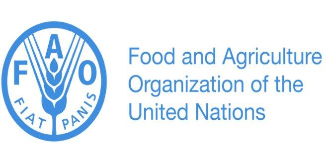 الفاو: فاتورة الغذاء العالمية قرب سقف قياسي جديد