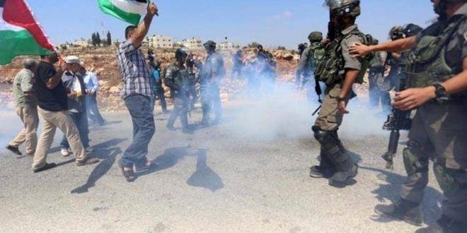 الاحتلال يعتدي على فلسطينيين ومتضامنين أجانب جنوب الخليل