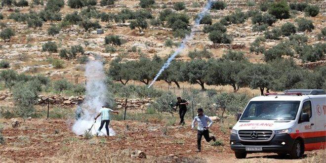 إصابة عدد من الفلسطينيين جراء اعتداء الاحتلال عليهم في نابلس