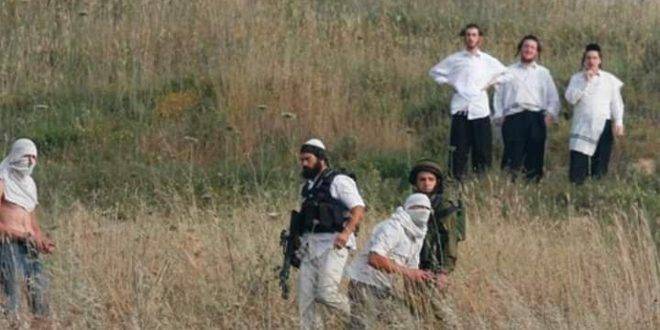 مستوطنون يحرقون أراضي زراعية جنوب نابلس