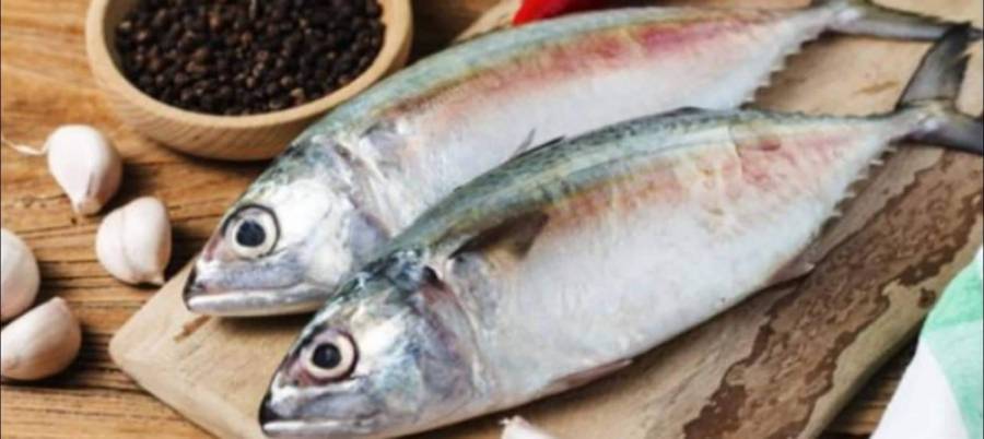 ما العلاقة بين تناول السمك وسرطان الجلد؟