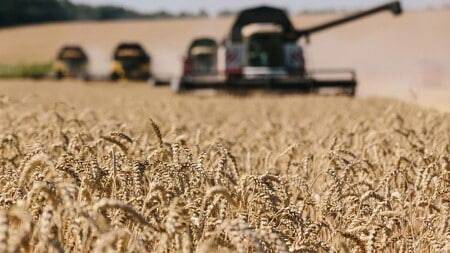 أوكرانيا: حرب روسيا قد تحرم العالم من قمحنا لثلاثة مواسم