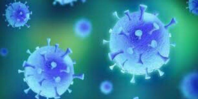 العلماء يفكون لغز أخطر وباء في تاريخ البشرية
