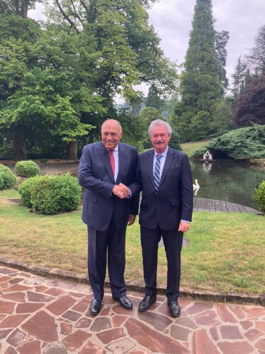 وزير الخارجية المصري يلتقي بنظيره اللوكسمبورجي