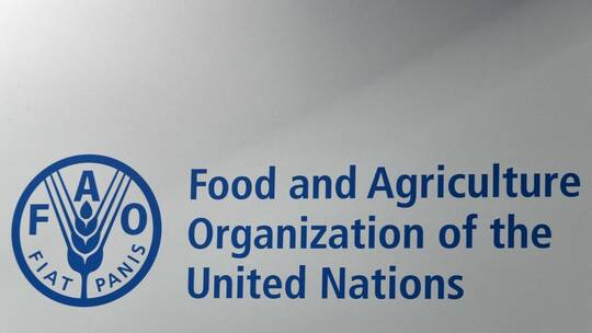 الفاو: حوالي 12 مليون سوداني سيعانون من موجة حادة من الجوع