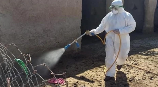 إصابات الحمى النزفية والكوليرا ترتفع بالعراق