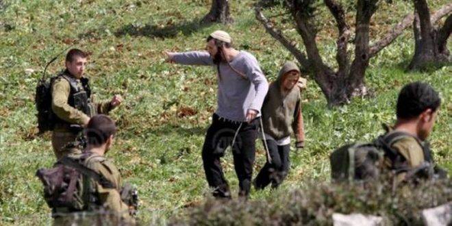 مستوطنون يستولون على أراض في الأغوار الشمالية