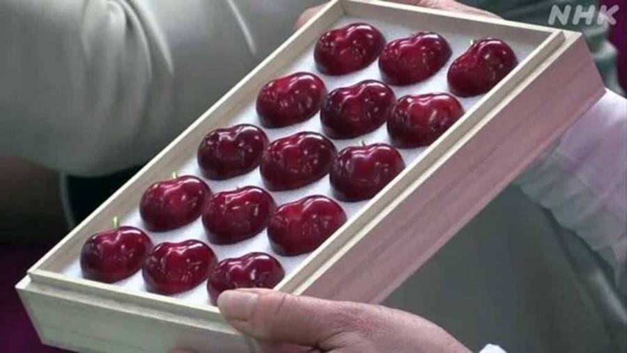 سعر حبة الكرز الواحدة بـ 300 دولار ....ما هو السبب؟!