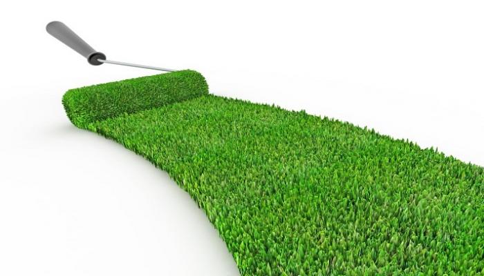 مصر تنتج دهانات خضراء غير مسبوقة في تاريخها.. السر في الرصاص