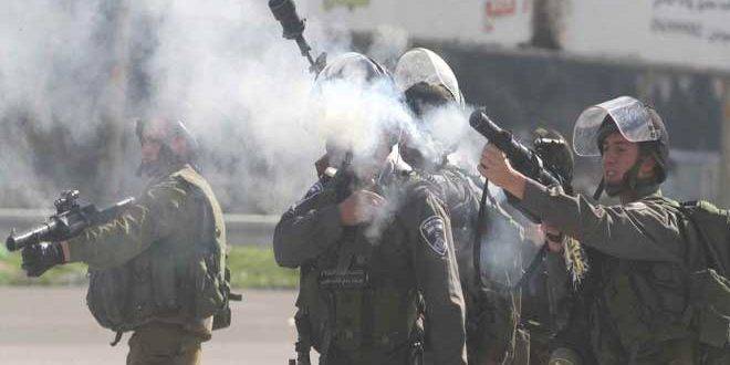 قوات الاحتلال تعتدي على ممتلكات الفلسطينيين في مدينة أريحا