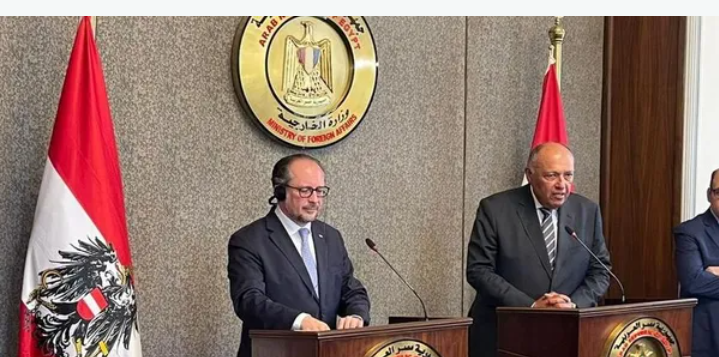 شكري: تعليق العملية السياسية تسبب باضطرابات في ليبيا