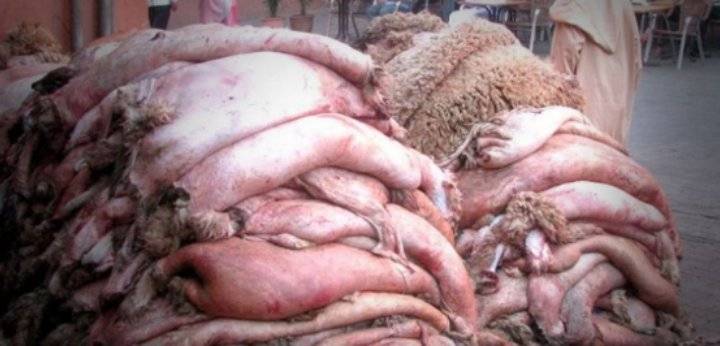 الجزائر : تسخير 39 مصنعا لحملة جمع جلود الأضاحي