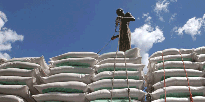 الفاو.. الأمن الغذائي العالمي يتعرض للتهديد بطرق عديدة