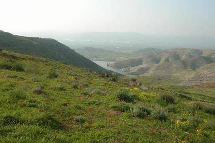 حملة نظافة شاملة لمجرى ينابيع وادي الريان السياحي