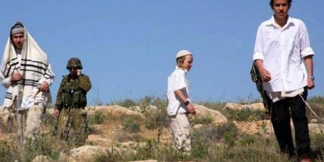 إصابة فلسطيني جراء اعتداء مستوطنين عليه جنوب شرق طولكرم