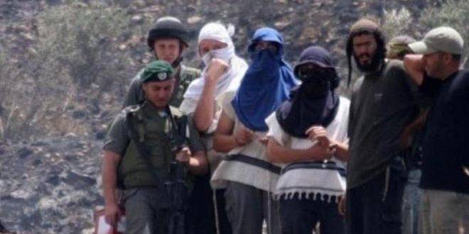 مستوطنون إسرائيليون يقتحمون غرب أريحا