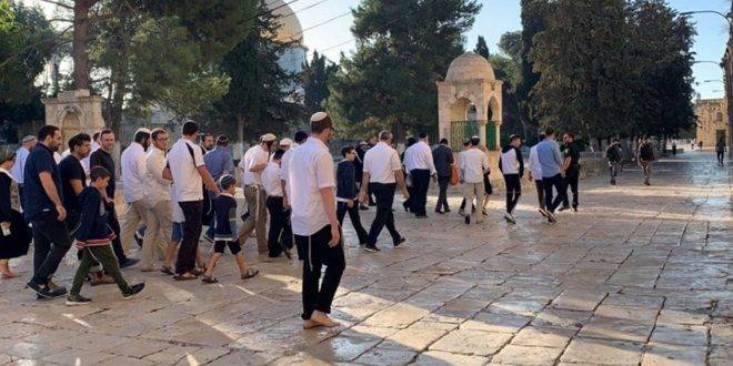 90مستوطناً يقتحمون الأقصى