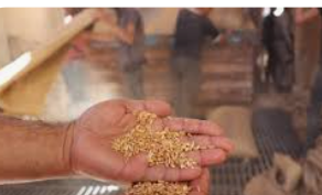 الفاو تعلن عن خطة لمساعدة لبنان على تحقيق الأمن الغذائي