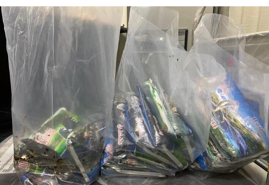 جمارك الإمارات تضبط 29.3 كغم حشيش بمركبة