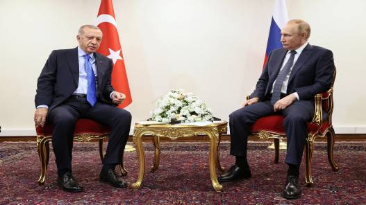 بوتين يعلن إحراز تقدم في محادثات تصدير الحبوب الأوكرانية ويشكر أردوغان