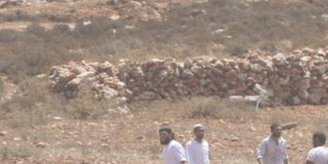 مستوطنون يقتحمون بلدة الخضر ويتلفون عشرات الأشجار فيها