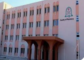 مؤتة تطرح برنامجا تدريبيا لإعداد مدرسي المعلمين