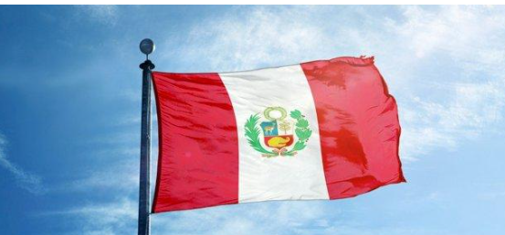 البيرو تسجل 112 إصابة بجدري القردة