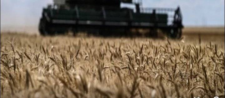 روسيا وأوكرانيا توقعان الجمعة اتفاقًا حول تصدير الحبوب