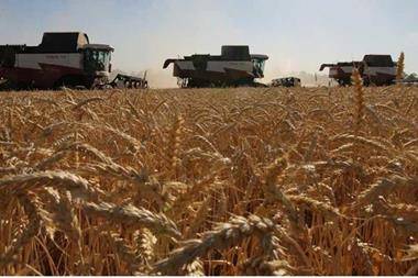 تفاصيل اتفاق تصدير الحبوب الأوكرانية