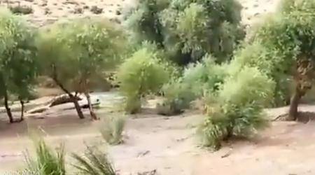 قتلى ومفقودون في سيول جنوب إيران