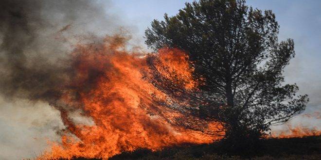 حرائق تدمر مساحات واسعة من غابات لندن