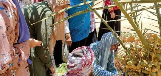 مصر.. الكشف عن بقايا مبنى لأحد معابد الشمس الأربعة المفقودة من الأسرة الخامسة (صور)