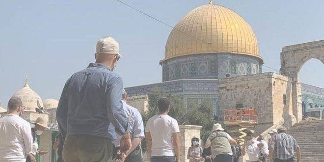 153 مستوطناً يقتحمون الأقصى