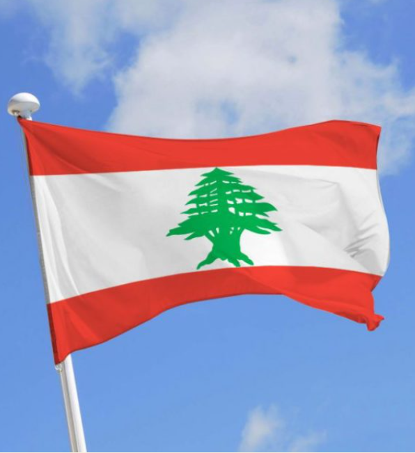 الخارجية اللبنانية: العودة للمفاوضات المباشرة مع إسرائيل لترسيم الحدود البحرية