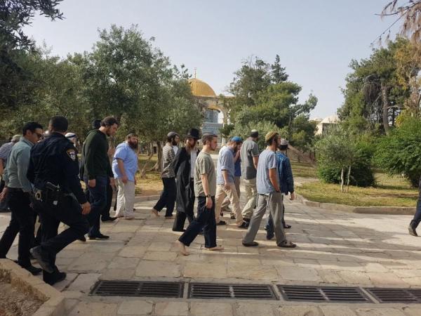 عشرات المستوطنين يقتحمون الأقصى وسط قيود مشددة