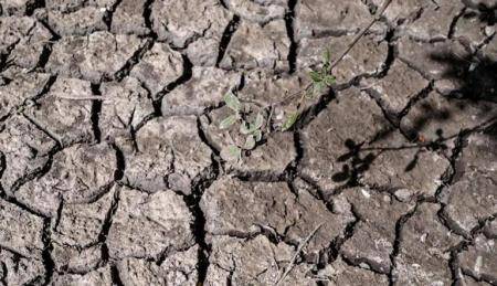 باريس تعلن التأهب لمواجهة الجفاف