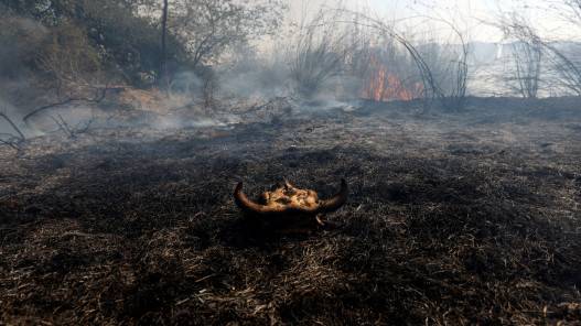 رشقات صاروخية نحو تل ابيب وصافرات الانذار تدوي