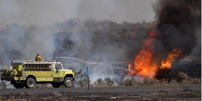 الحرائق تقضي على أكثر من 350 هكتاراً من الغطاء النباتي في فرنسا