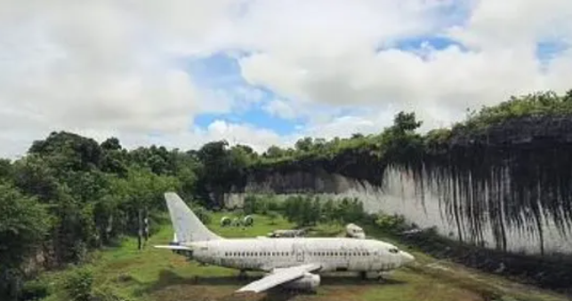 وسط الغابة..طائرة بوينغ مهجورة تثير الحيرة