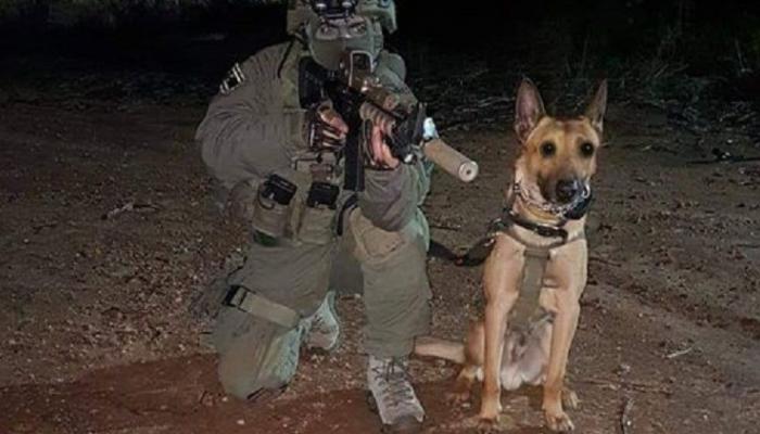 إسرائيل تعلن عن خسارة غير متوقعة خلال اقتحام نابلس