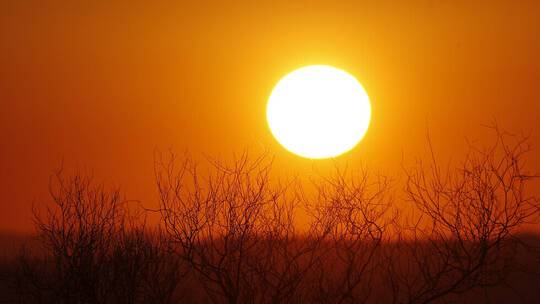 تجاوزت الـ51 درجة..مدينة عربية تسجل أعلى حرارة في العالم