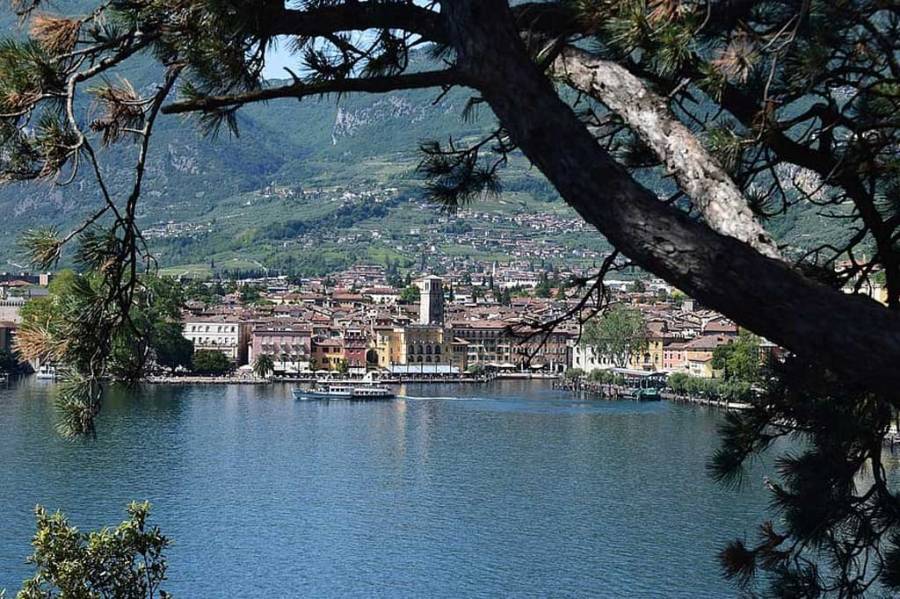 غاردا تختنق والمروج تذوب.. هل يتكيف كل شيء أخضر مع الجفاف؟