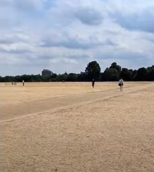 ارتفاع الحرارة يحول حديقة هايد بارك في لندن إلى صحراء