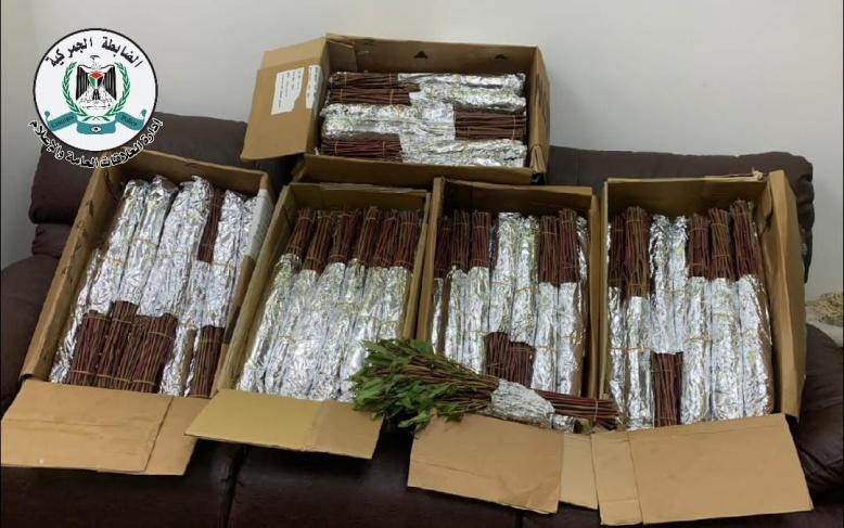 الجمارك الفلسطينية تضبط 55 كيلو مخدرات بنابلس