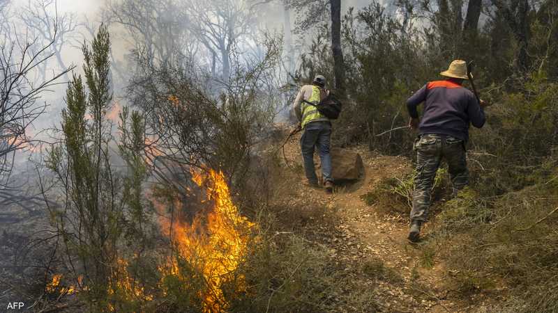 المغرب.. التحقيق مع 4 أشخاص بتهمة إضرام النار في الغابة