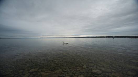 أدنى منسوب مياه تشهده أربع بحيرات سويسرية كبيرة لشهر آب