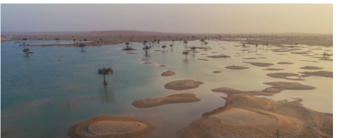 مشهد غير مسبوق.. سيول تتدفق بالربع الخالي